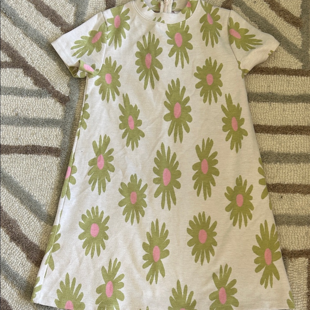 Zara Cream A-Line Dress with Green & Pink Daisy Print